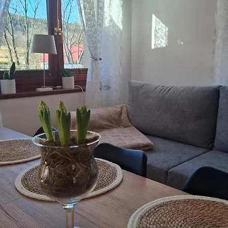 Blizej Lasu - Rodzinny W Gorach Ferienhaus